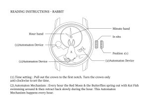Instruction rabbit watch