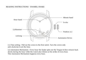 Instruction Enamel Snake watch