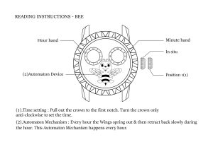 Instruction bee watch