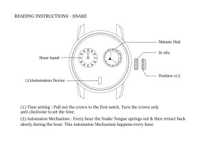Instruction Snake watch