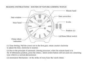 Instructions chiming watch